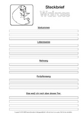 Walross-Steckbriefvorlage-sw.pdf